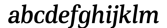 PFDINSerif-MediumItalic Font LOWERCASE