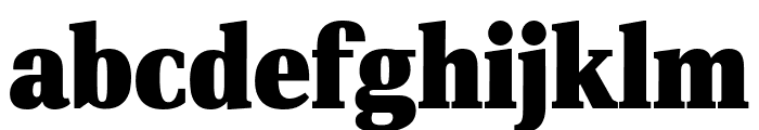 PFDINSerif-XBlack Font LOWERCASE