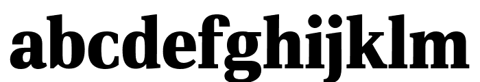 PFDINSerifArabic-Black Font LOWERCASE