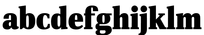 PFDINSerifArabic-XBlack Font LOWERCASE