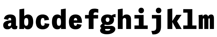 PFDasGroteskMonoPro-Black Font LOWERCASE