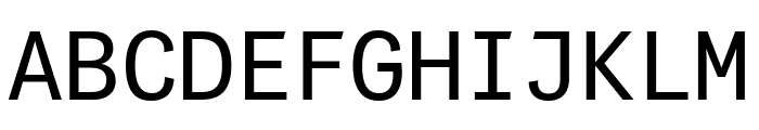 PFDasGroteskMonoPro-Regular Font UPPERCASE