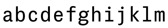 PFDasGroteskMonoPro-Regular Font LOWERCASE