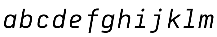 PFDekkaMonoPro-Italic Font LOWERCASE