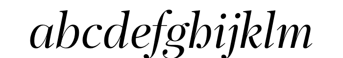 PFRegalDisplayPro-Italic Font LOWERCASE