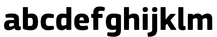 PFSquareSansPro-Bold Font LOWERCASE