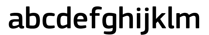 PFSquareSansPro-Medium Font LOWERCASE