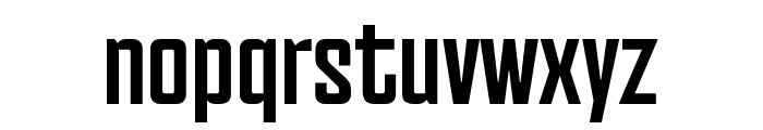 PFVenue-Bold Font LOWERCASE