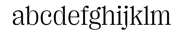 PP Right Serif   Light Font LOWERCASE