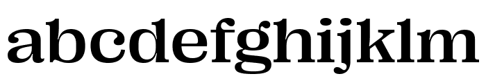 PP Right Serif   Wide Medium Font LOWERCASE