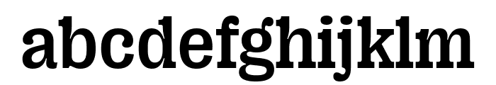 PP Right Slab   Medium Font LOWERCASE