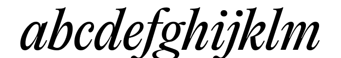 PPEditorialNew Italic Font LOWERCASE