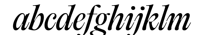 PPEditorialOld Italic Font LOWERCASE