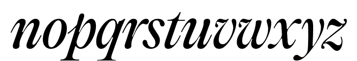 PPEditorialOld Italic Font LOWERCASE