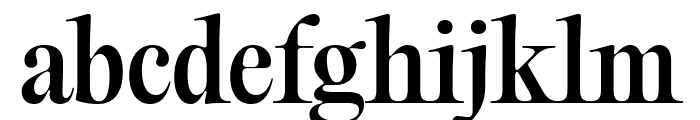 PPEditorialOld Medium Font LOWERCASE