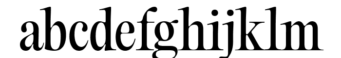 PPEditorialOld Regular Font LOWERCASE