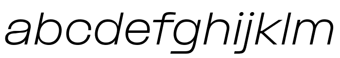 PPFormula ExtendedLightItalic Font LOWERCASE