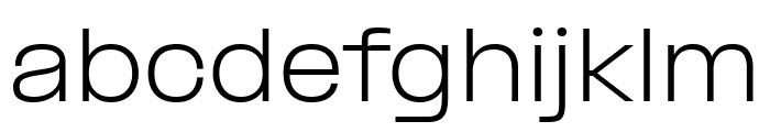 PPFormula ExtendedLight Font LOWERCASE