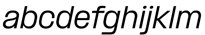 PPFormula RegularItalic Font LOWERCASE