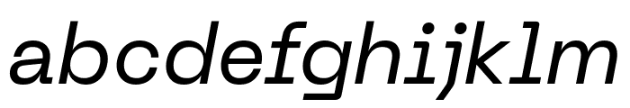 PPNeueMachina PlainRegularItalic Font LOWERCASE