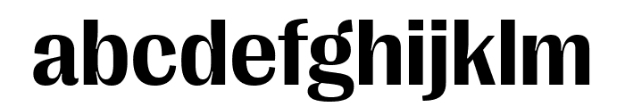 PPRightGothic Bold Font LOWERCASE