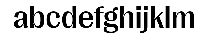 PPRightGothic Medium Font LOWERCASE