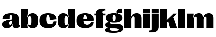 PPRightGothic WideBlack Font LOWERCASE
