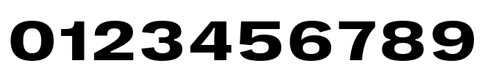 PPRightGroteskText SpatialBold Font OTHER CHARS