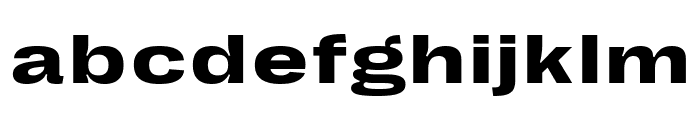 PPRightGroteskText SpatialBold Font LOWERCASE