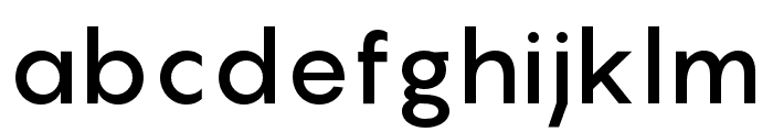 Pangram Sans Medium Font LOWERCASE