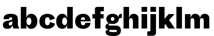 Proto Grotesk Bold Font LOWERCASE