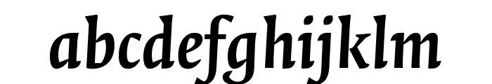 Quadraat Bold Italic Font LOWERCASE