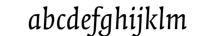 Quadraat Italic Font LOWERCASE