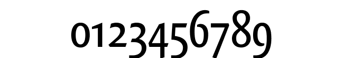 Quadraat Sans Condensed Regular Font OTHER CHARS