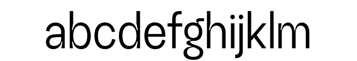 RG SlimRegular Font LOWERCASE