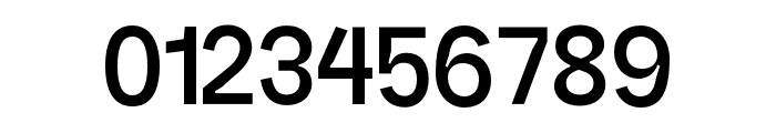 RG StandardSemibold Font OTHER CHARS