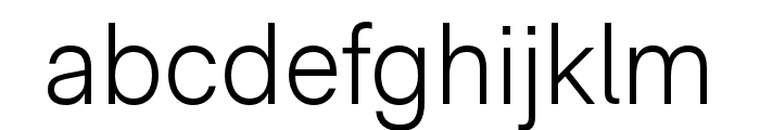 RMNeue Light Font LOWERCASE