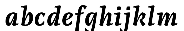 Raikka Bold Italic Font LOWERCASE