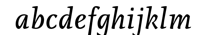 Raikka Italic Font LOWERCASE