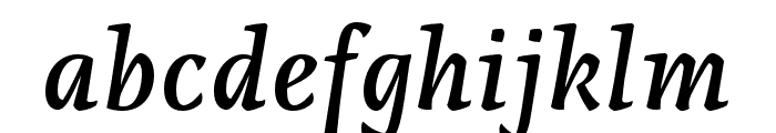 Raikka Medium Italic Font LOWERCASE