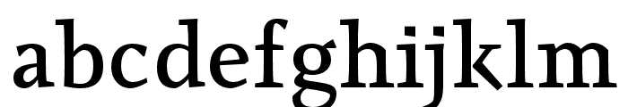 Raikka Regular Font LOWERCASE