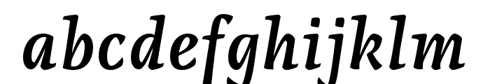 Raikka Semi Bold Italic Font LOWERCASE