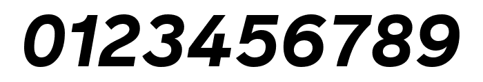 Reader Bold Italic Pro Font OTHER CHARS