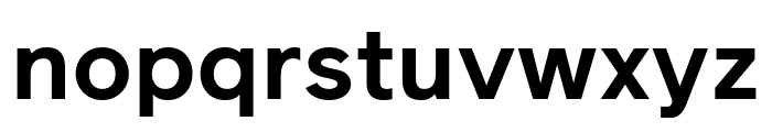 Reader Bold Pro Font LOWERCASE