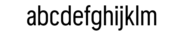 Reader Condensed Regular Pro Font LOWERCASE