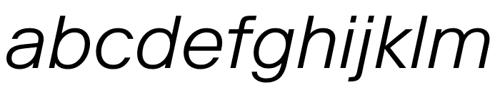 Riforma Light Italic Font LOWERCASE