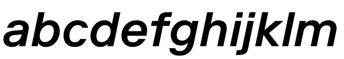 Riforma Medium Italic Font LOWERCASE