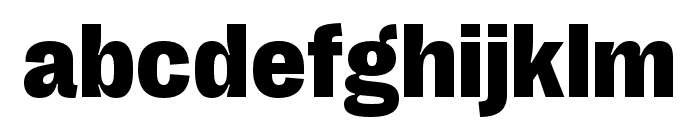 Right Grotesk Dark Font LOWERCASE