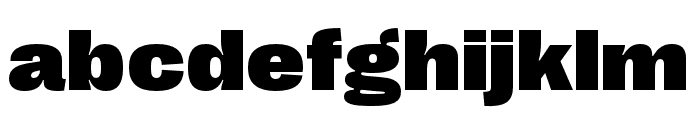 Right Grotesk Wide Black Font LOWERCASE