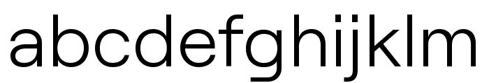 RoobertPROTRIALVF Font LOWERCASE